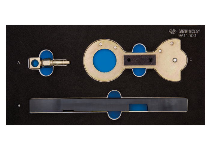 Kit calado motor Gasolina doble árbol de levas BMW