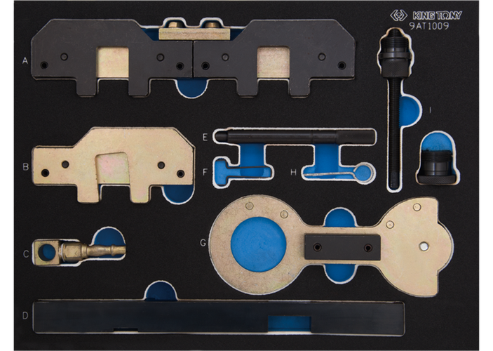 Kit calado motor Gasolina Doble Vanos BMW