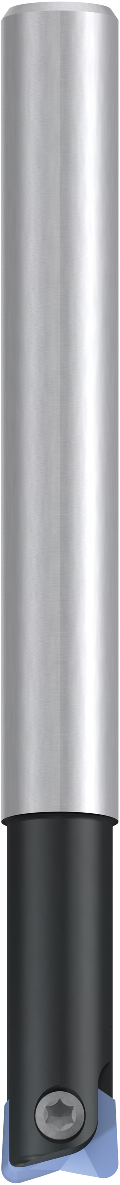 Cuerpo de fresa para plaquitas de corte tóricas