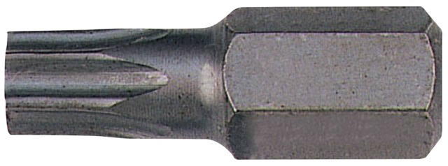 Punta 10mm TORX® inviolable T55, 75mm