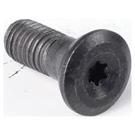 Repuesto tornillo barra positiva SCLC 95º