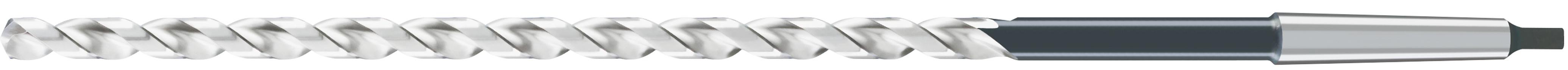 Broca Mango Conico 20xD